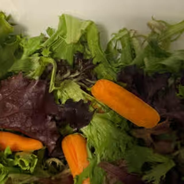 Side Salad.